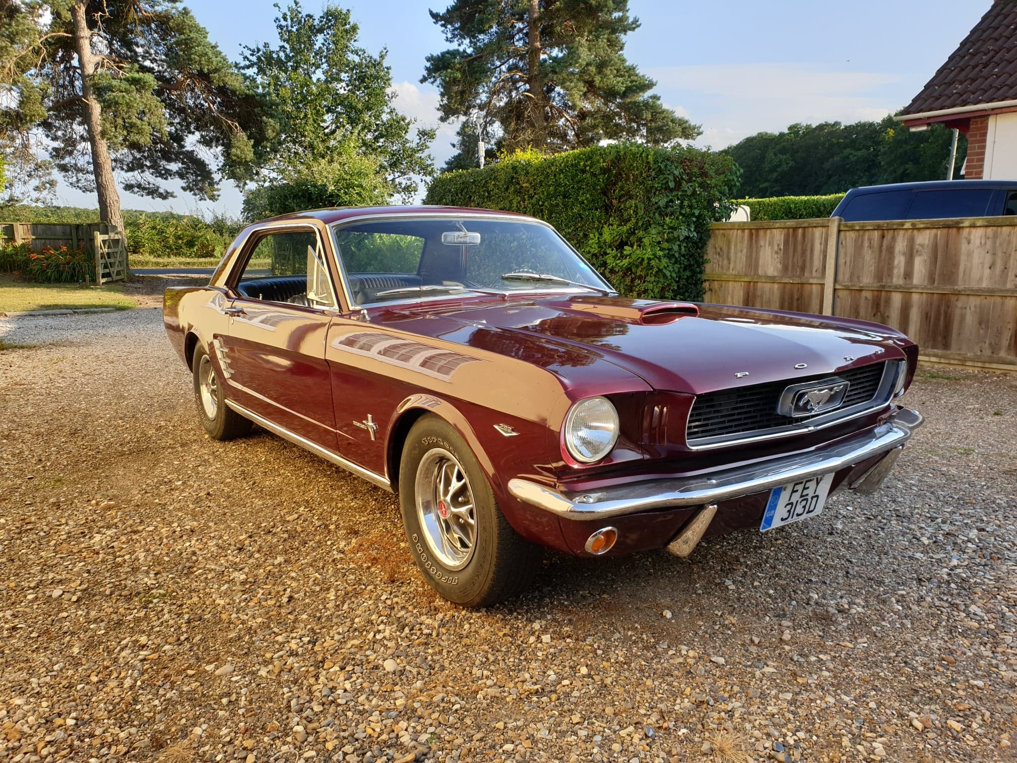 1966 Mustang UK 14