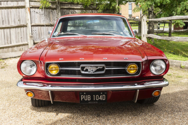 Bronze-Coupe-PUB104D_10 Bronze-Coupe-PUB104D_10