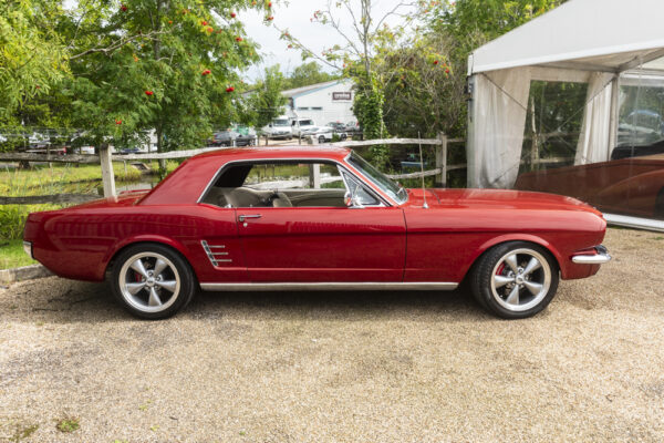 Bronze-Coupe-PUB104D_2 Bronze-Coupe-PUB104D_2