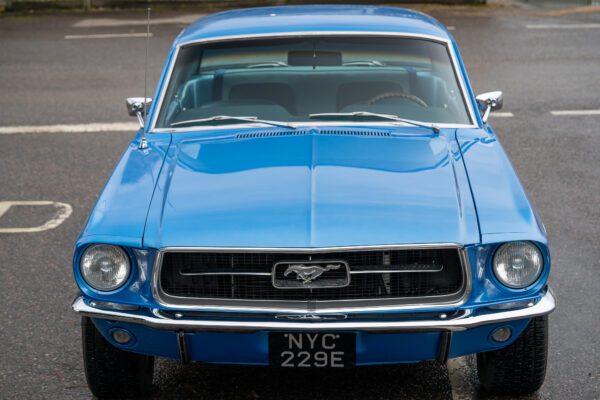 PMV8-15-Mustang-302-Blue-18 PMV8-15-Mustang-302-Blue-18