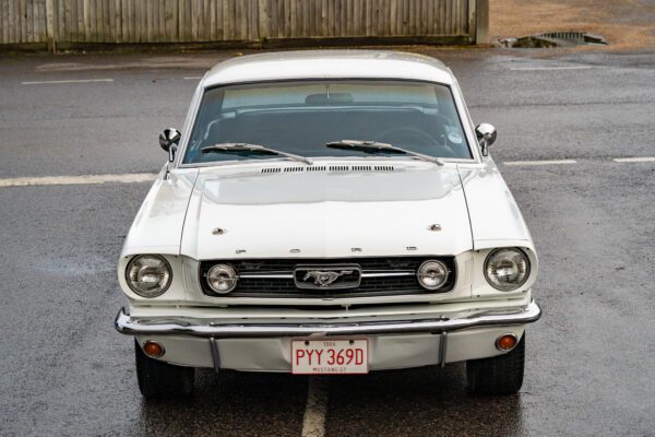 PMV8-16-Mustang-289GT-05 PMV8-16-Mustang-289GT-05