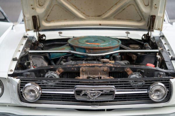 PMV8-16-Mustang-289GT-21 PMV8-16-Mustang-289GT-21