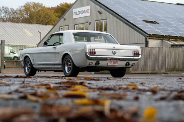 PMV8-16-Mustang-289GT-81 PMV8-16-Mustang-289GT-81