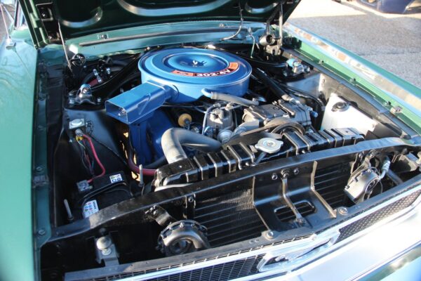 Pilgrim-MotorSports-Mustang-Green_by_autovids_2018_16 Pilgrim-MotorSports-Mustang-Green_by_autovids_2018_16