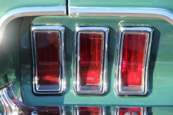 Pilgrim-MotorSports-Mustang-Green_by_autovids_2018_23 Pilgrim-MotorSports-Mustang-Green_by_autovids_2018_23