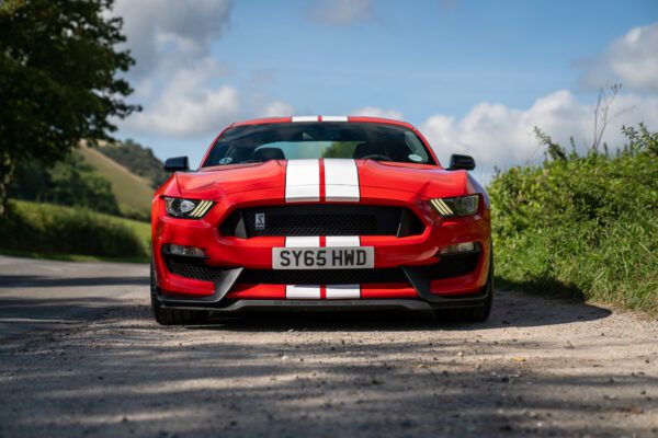 PilgrimV8-Shelby-Mustang-GT350-03 PilgrimV8-Shelby-Mustang-GT350-03