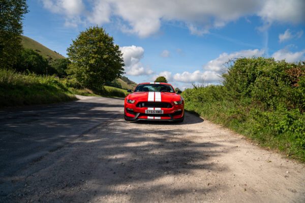 PilgrimV8-Shelby-Mustang-GT350-08 PilgrimV8-Shelby-Mustang-GT350-08