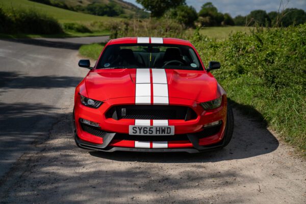 PilgrimV8-Shelby-Mustang-GT350-23 PilgrimV8-Shelby-Mustang-GT350-23