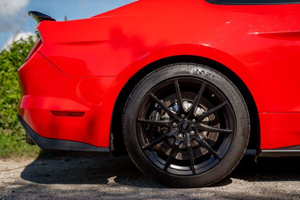 PilgrimV8-Shelby-Mustang-GT350-28 PilgrimV8-Shelby-Mustang-GT350-28