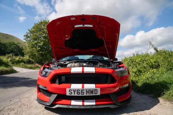 PilgrimV8-Shelby-Mustang-GT350-31 PilgrimV8-Shelby-Mustang-GT350-31