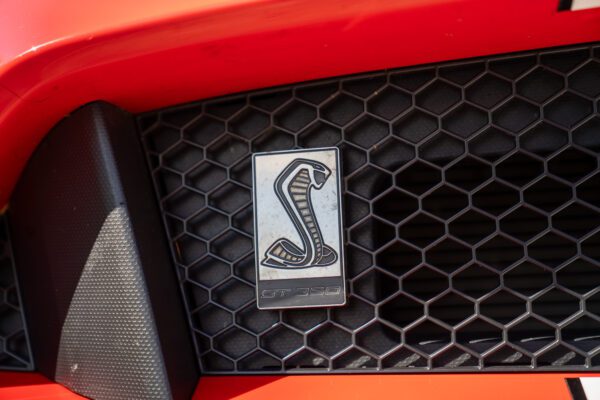 PilgrimV8-Shelby-Mustang-GT350-36 PilgrimV8-Shelby-Mustang-GT350-36