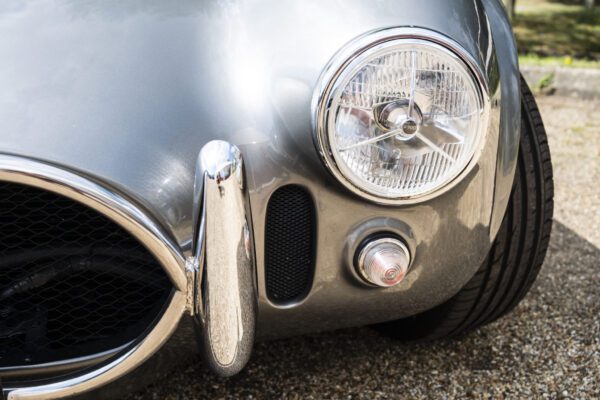 Red-Fastback_12-scaled Red-Fastback_12-scaled