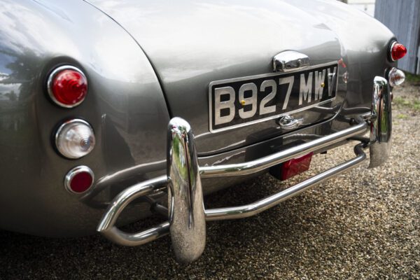 Red-Fastback_27-scaled Red-Fastback_27-scaled