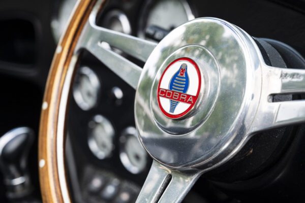 Red-Fastback_37-scaled Red-Fastback_37-scaled