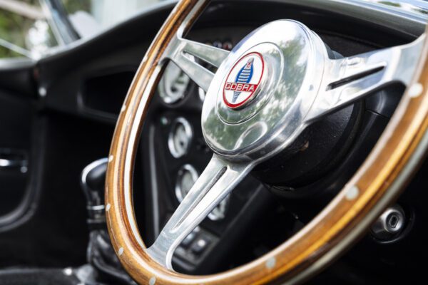 Red-Fastback_38-scaled Red-Fastback_38-scaled