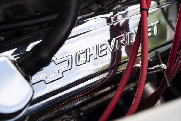 Red-Fastback_44-scaled Red-Fastback_44-scaled