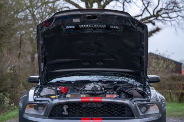 Shelby-GT500-2011MY_-64 Shelby-GT500-2011MY_-64