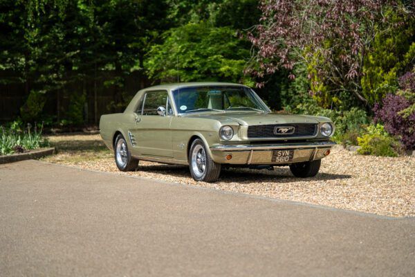 PilgrimV8-66Mustang Olive Gold-001 PilgrimV8-66Mustang Olive Gold-001