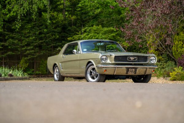 PilgrimV8-66Mustang Olive Gold-002 PilgrimV8-66Mustang Olive Gold-002