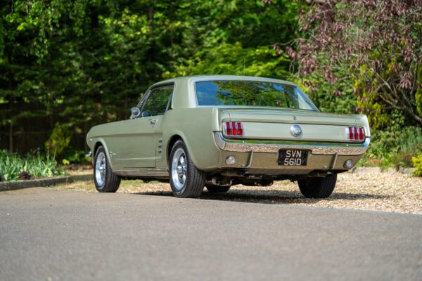 PilgrimV8-66Mustang Olive Gold-004 PilgrimV8-66Mustang Olive Gold-004