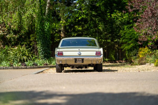 PilgrimV8-66Mustang Olive Gold-005 PilgrimV8-66Mustang Olive Gold-005