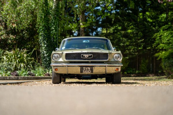 PilgrimV8-66Mustang Olive Gold-007 PilgrimV8-66Mustang Olive Gold-007