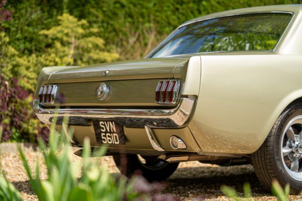 PilgrimV8-66Mustang Olive Gold-008 PilgrimV8-66Mustang Olive Gold-008