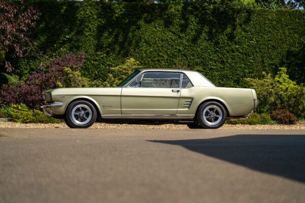 PilgrimV8-66Mustang Olive Gold-010 PilgrimV8-66Mustang Olive Gold-010