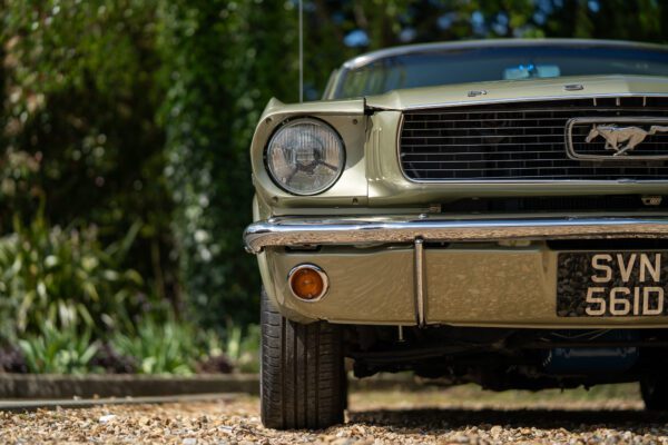 PilgrimV8-66Mustang Olive Gold-011 PilgrimV8-66Mustang Olive Gold-011