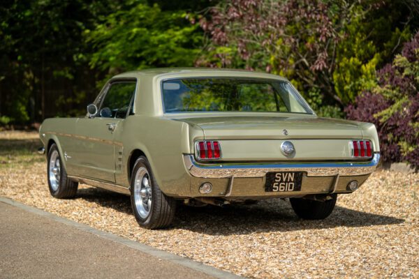 PilgrimV8-66Mustang Olive Gold-013 PilgrimV8-66Mustang Olive Gold-013