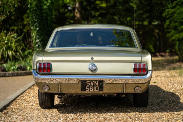 PilgrimV8-66Mustang Olive Gold-015 PilgrimV8-66Mustang Olive Gold-015