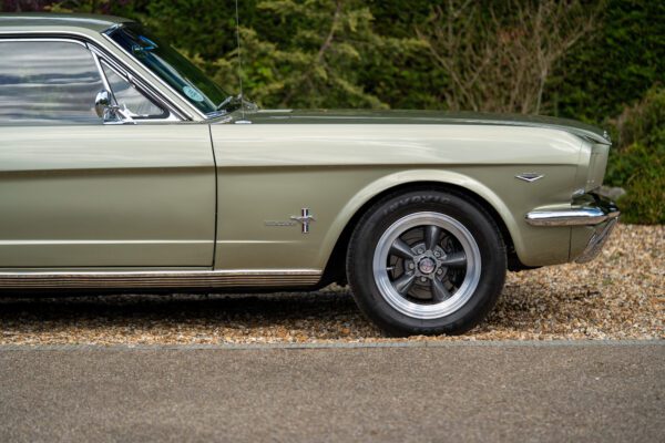 PilgrimV8-66Mustang Olive Gold-016 PilgrimV8-66Mustang Olive Gold-016