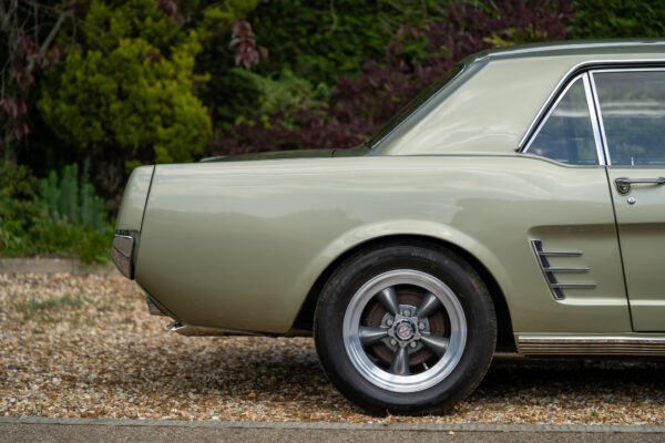 PilgrimV8-66Mustang Olive Gold-017 PilgrimV8-66Mustang Olive Gold-017