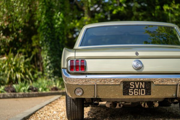 PilgrimV8-66Mustang Olive Gold-020 PilgrimV8-66Mustang Olive Gold-020