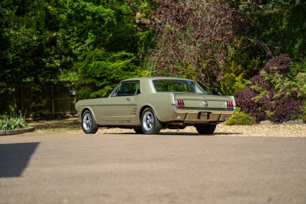 PilgrimV8-66Mustang Olive Gold-021 PilgrimV8-66Mustang Olive Gold-021