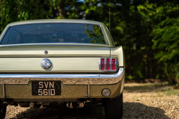 PilgrimV8-66Mustang Olive Gold-022 PilgrimV8-66Mustang Olive Gold-022