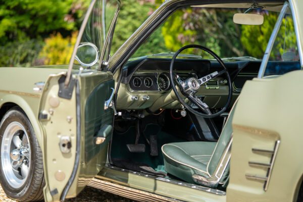 PilgrimV8-66Mustang Olive Gold-025 PilgrimV8-66Mustang Olive Gold-025