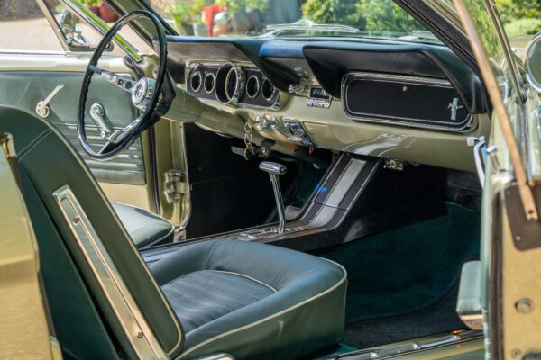 PilgrimV8-66Mustang Olive Gold-029 PilgrimV8-66Mustang Olive Gold-029