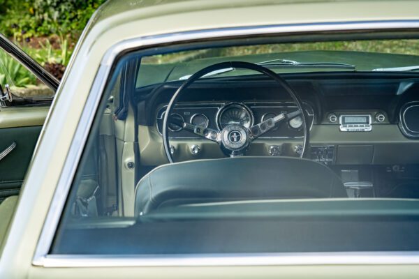 PilgrimV8-66Mustang Olive Gold-032 PilgrimV8-66Mustang Olive Gold-032