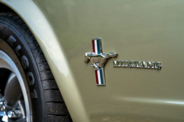 PilgrimV8-66Mustang Olive Gold-038 PilgrimV8-66Mustang Olive Gold-038