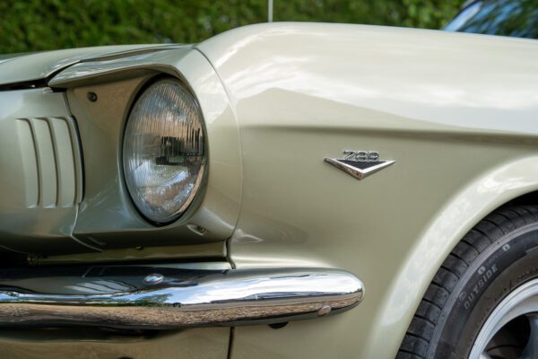 PilgrimV8-66Mustang Olive Gold-040 PilgrimV8-66Mustang Olive Gold-040