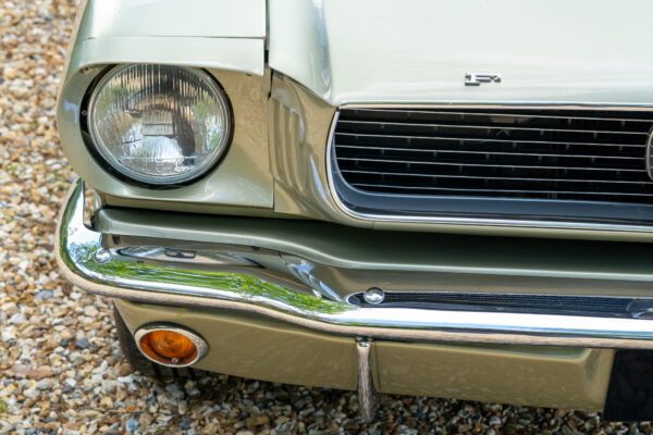 PilgrimV8-66Mustang Olive Gold-044 PilgrimV8-66Mustang Olive Gold-044