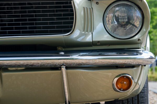 PilgrimV8-66Mustang Olive Gold-046 PilgrimV8-66Mustang Olive Gold-046