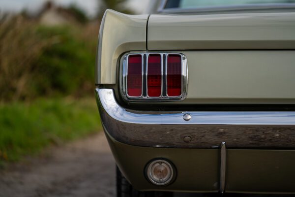 PilgrimV8-66Mustang Olive Gold-048 PilgrimV8-66Mustang Olive Gold-048