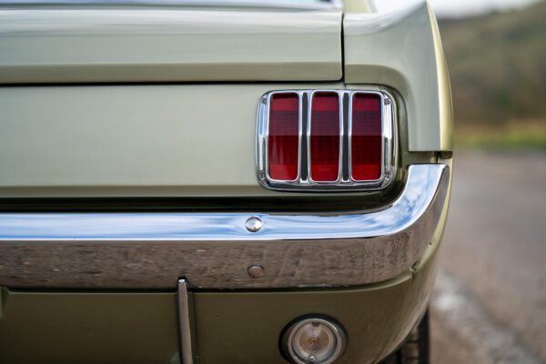 PilgrimV8-66Mustang Olive Gold-049 PilgrimV8-66Mustang Olive Gold-049