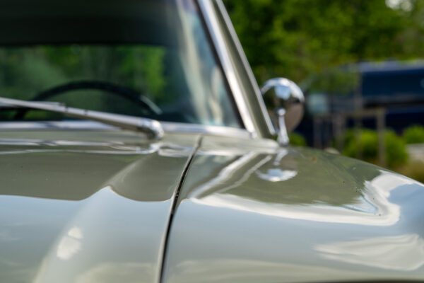 PilgrimV8-66Mustang Olive Gold-050 PilgrimV8-66Mustang Olive Gold-050