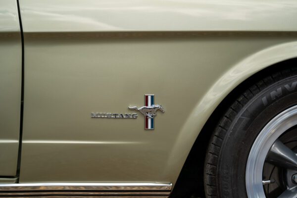 PilgrimV8-66Mustang Olive Gold-055 PilgrimV8-66Mustang Olive Gold-055