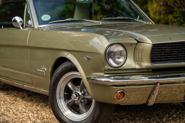 PilgrimV8-66Mustang Olive Gold-056 PilgrimV8-66Mustang Olive Gold-056