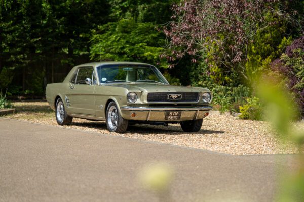 PilgrimV8-66Mustang Olive Gold-057 PilgrimV8-66Mustang Olive Gold-057