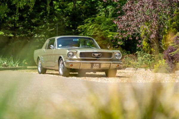 PilgrimV8-66Mustang Olive Gold-058 PilgrimV8-66Mustang Olive Gold-058